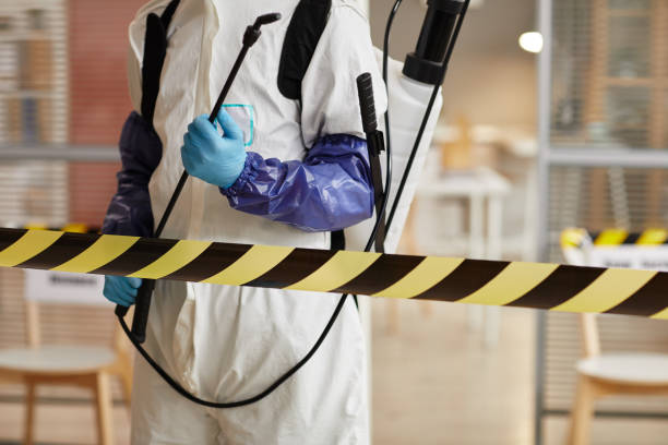Professional Odor Removal technician working in Mims, FL