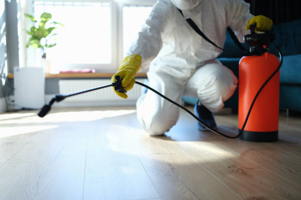 Reliable Odor Removal contractor in Mims, FL by Trauma Clean Pros